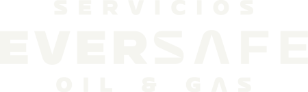 EVERSAFE LOGO W1@4x (1)