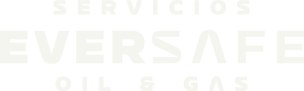 EVERSAFE LOGO W1@4x